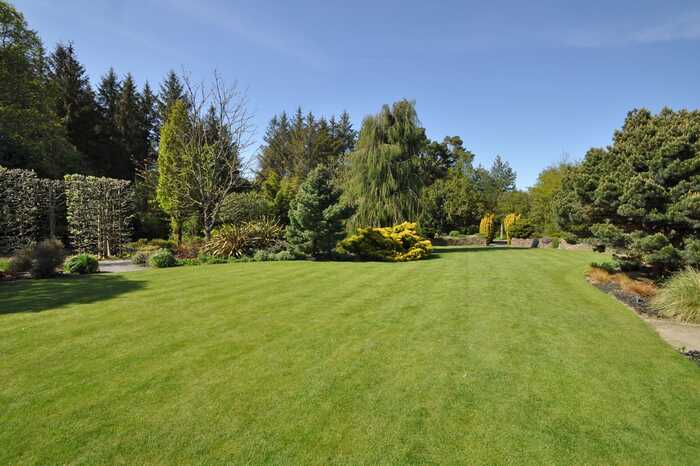 Beautiful lawn and trees in a uk garden